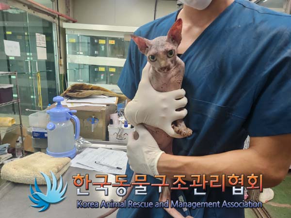 한국동물구조관리협회_441409202401628